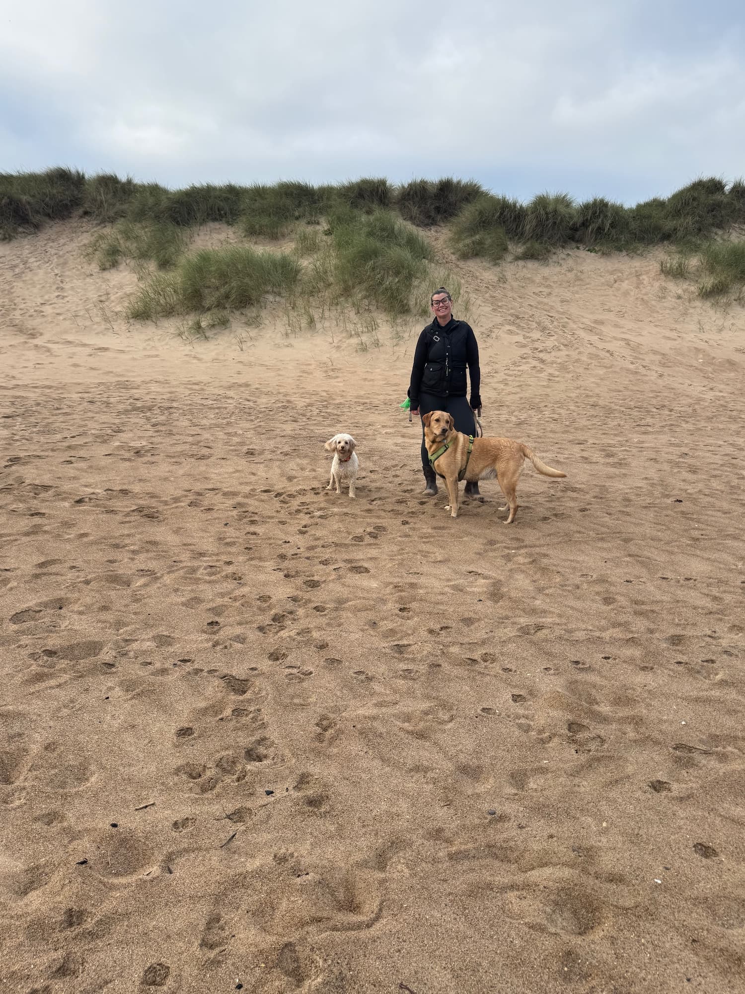 Happy dog representing West Thorn Waggers care